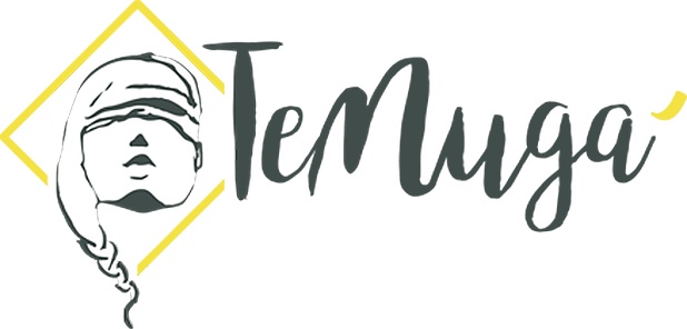 Temida Foundation